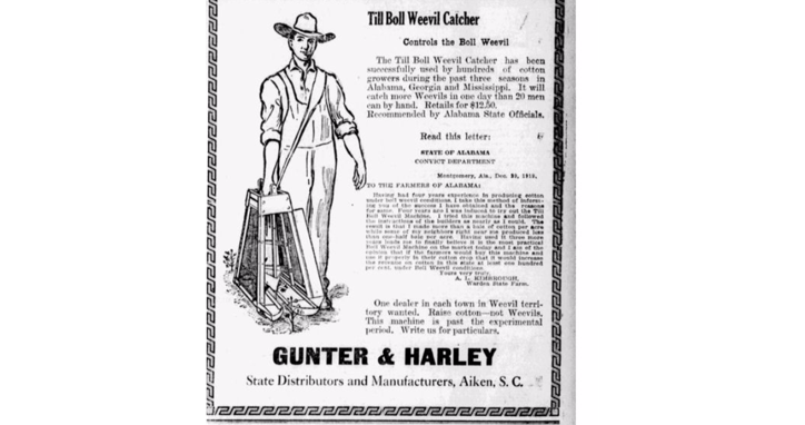 Advertisement showing a farmer with a boll weevil trap