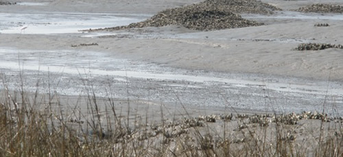 Coping with Drought
