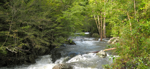 Watershed Modeling
