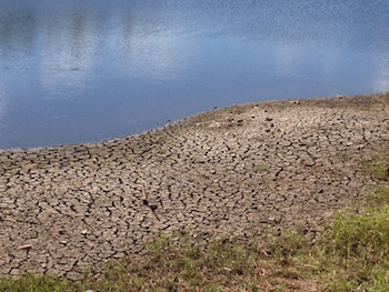 Parched shorelines